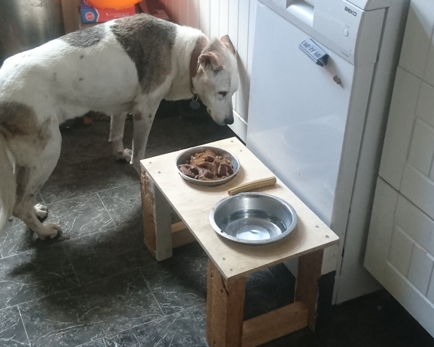 Dog food and water table