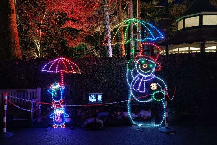 Group Project: Light Trail display
